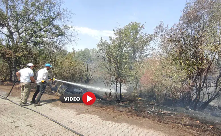 Yol Kenarına Atılan Atıklar Yangın Çıkardı