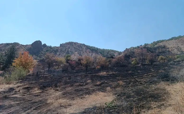 Uğurludağ'da Çıkan Ot Yangını Söndürüldü