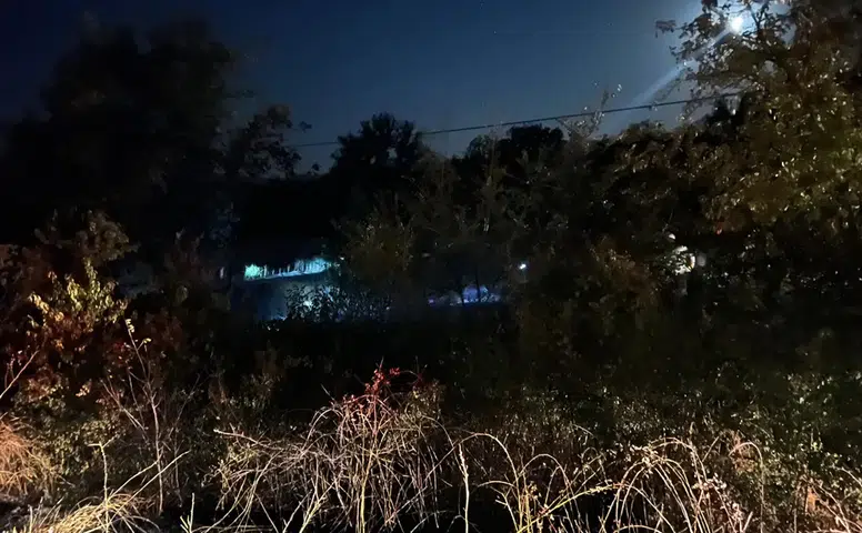 Yol Kenarında Çıkan Yangın Söndürüldü