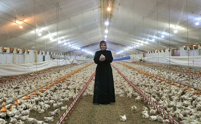 Çorum’da Tarımsal Kalkınmaya Ne Kadar Destek Verildi?