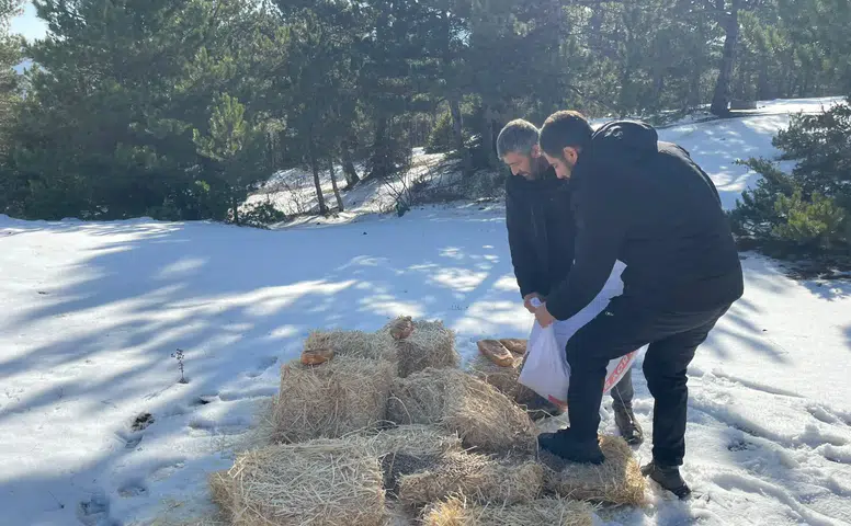 ‘Bir Kap Yem, Bir Lokma Umut’