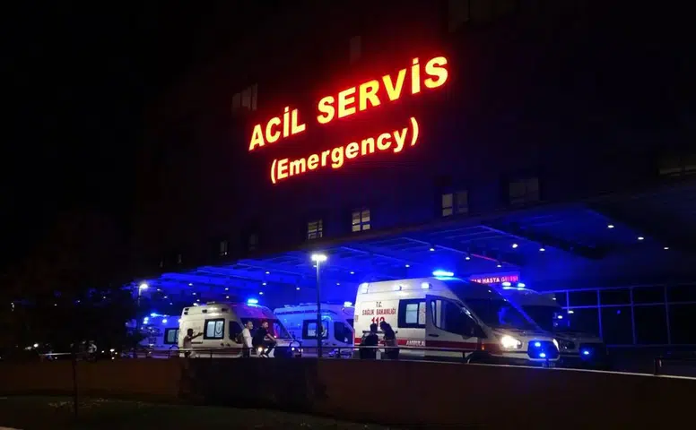 Ceviz Ağacından Düşüp Yaralandı