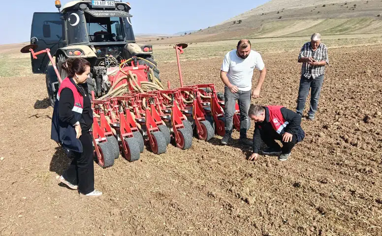 Kanola Tohumları Toprakla Buluştu