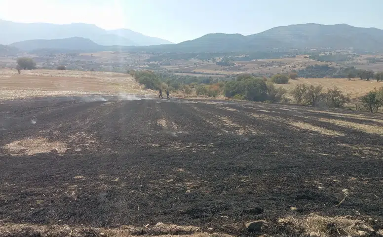 İki Ayrı Noktada Çıkan Yangın Söndürüldü