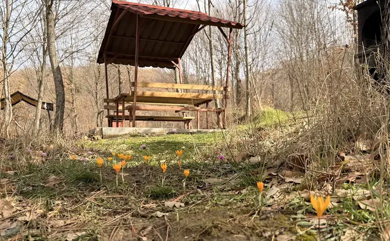 Çorum’un Saklı Cenneti Renklere Büründü