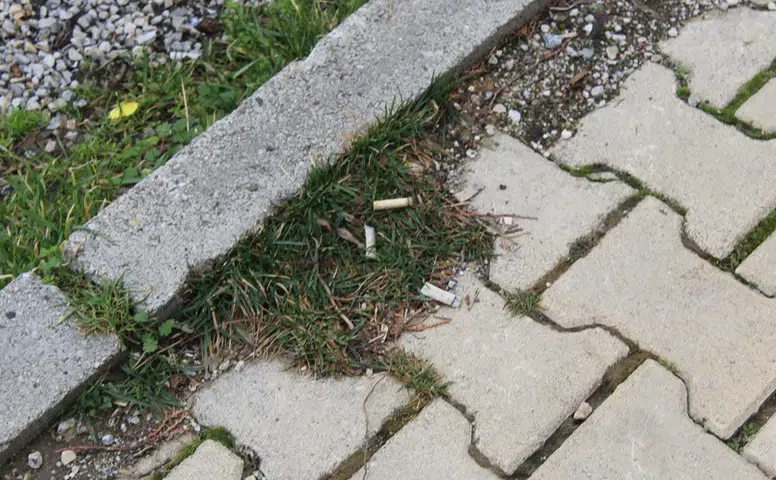 Şehir Genelinde Sigara İzmariti Kirliliği