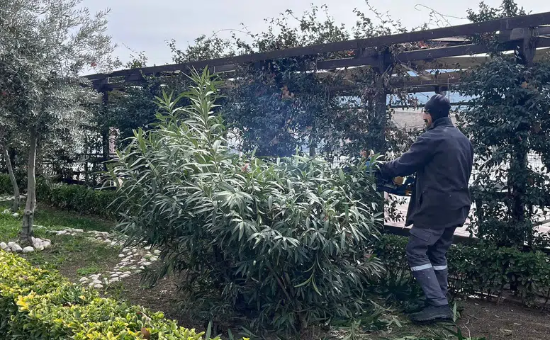 Yeşil Alan Ve Parklarda Bakım Çalışmaları Sürüyor