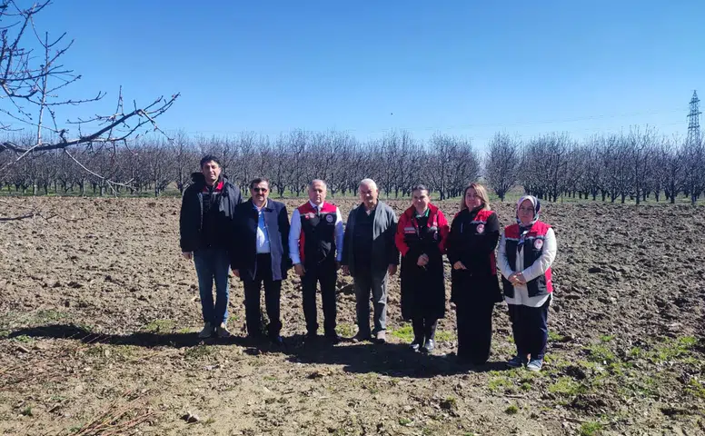 Kiraz ve Bağ Üreticilerine Tarlada Budama Eğitimi