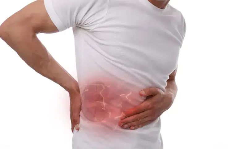 Sağlıklı Böbrekler İçin Sağlıklı Bir Çevre