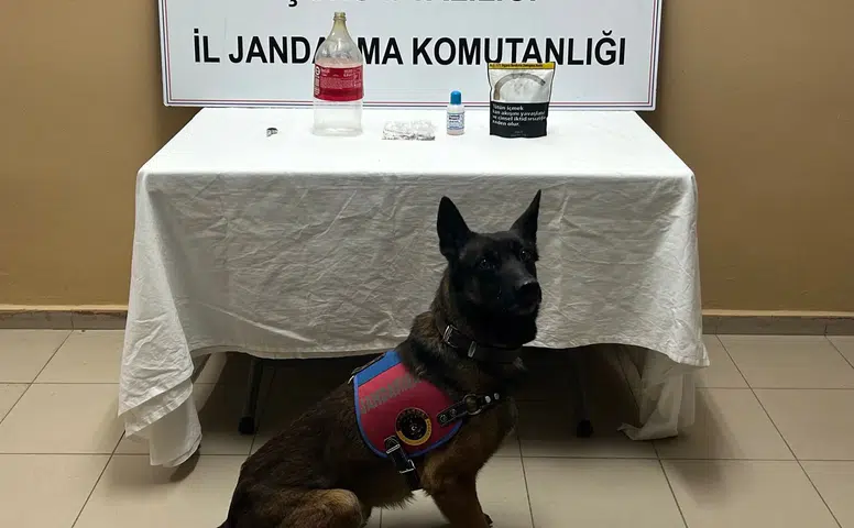 Jandarma Kapıyı Çalınca Ortaya Çıktı