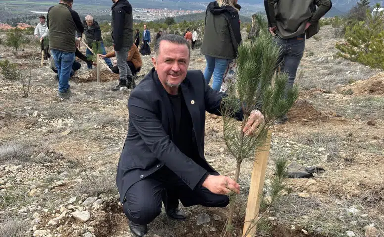 Kargı'da Orman Haftası Fidan Dikimiyle Kutlandı