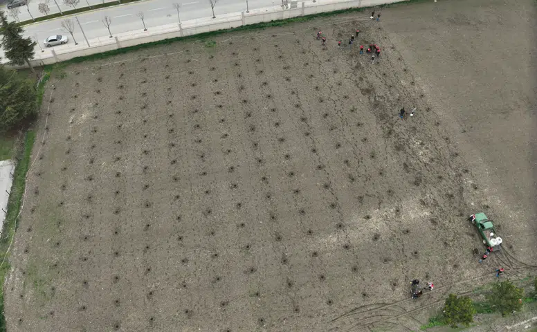 Çorum’da Modern Bağ Tesisi İçin İlk Adım