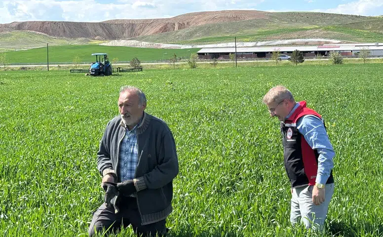 Hububat Alanları Hastalıklara Karşı Mercek Altında