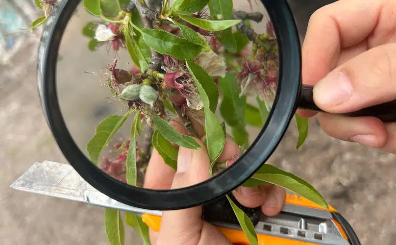 Tarım Arazileri Mercek Altında