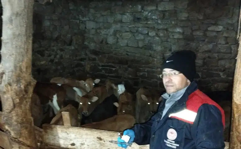 Hayvan Hastalıklarına Karşı Köy Köy Aşı Nöbeti