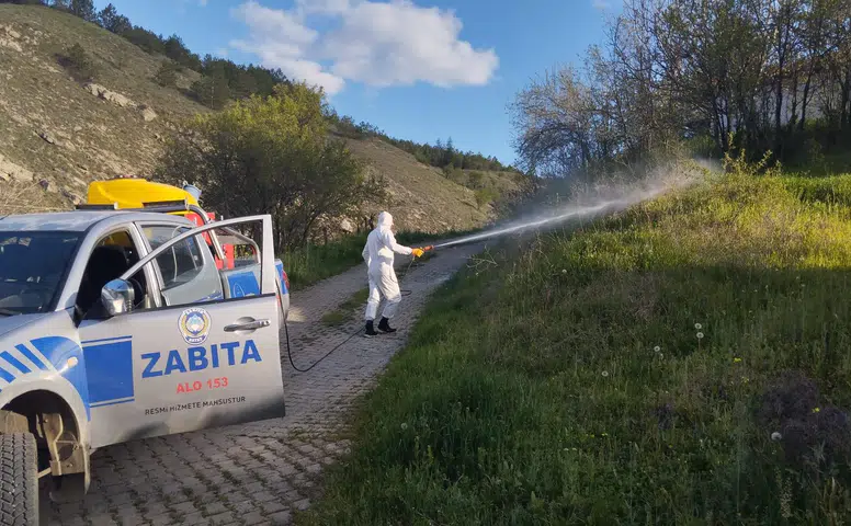 Haşere ve Sivrisineklere Karşı Erken Önlem