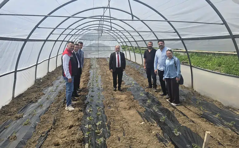 Engelsiz Tarım Atölyesi için Malçlı Sebze Dikimi