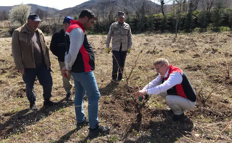 Üreticilere Uygulamalı Bağ Budama Eğitimi