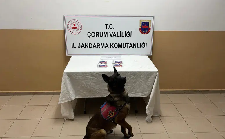 Jandarmanın Nefes Kesen Takibi Şaşırtan Bir Sonla Bitti