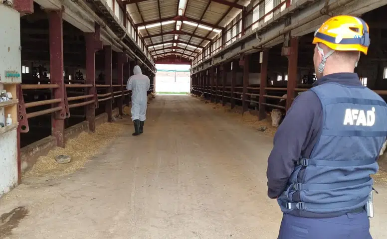 Ahırdaki Gaz Şüphesi AFAD'ı Seferber Etti