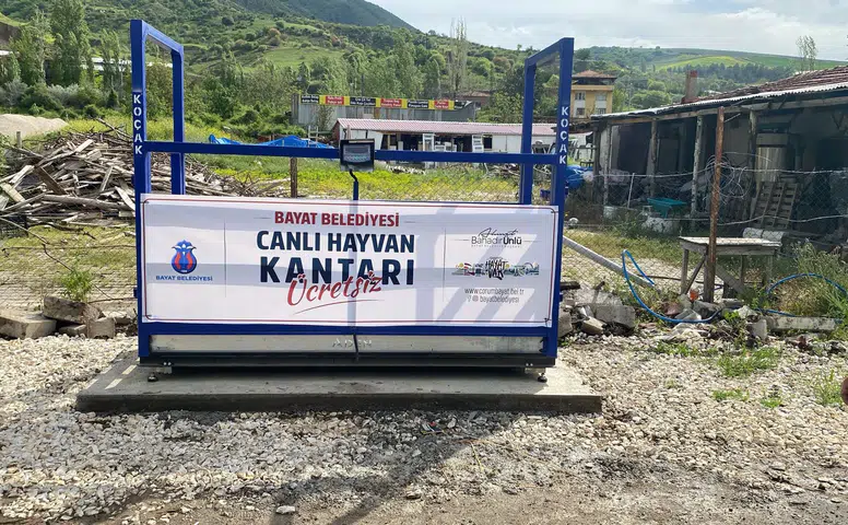 Hayvan Pazarına Ücretsiz Canlı Hayvan Kantarı