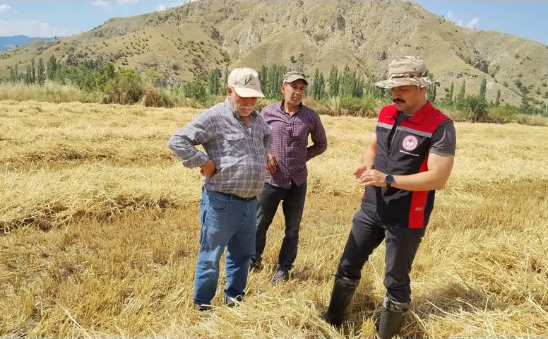 Bereketli Hasat İçin Sahada Adım Adım Kontrol