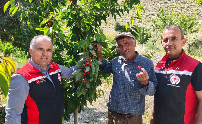 Bağcılara Yerinde Teknik Danışmanlık