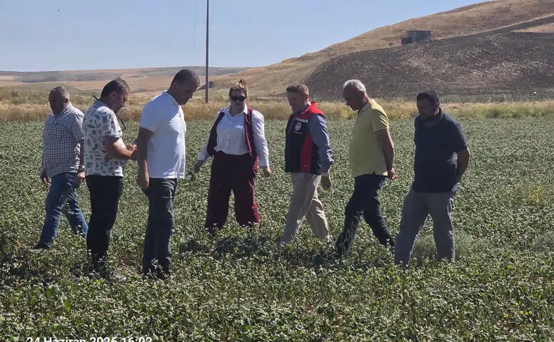 Çiftçinin Yeni Gelir Kapısında Verim Mesaisi