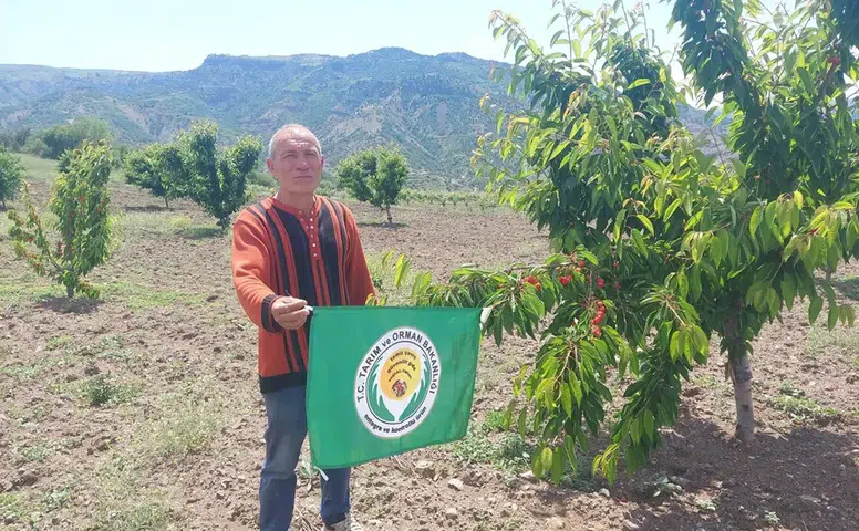 Kiraz Üreticilerine Hasat Öncesi Sıkı Denetim