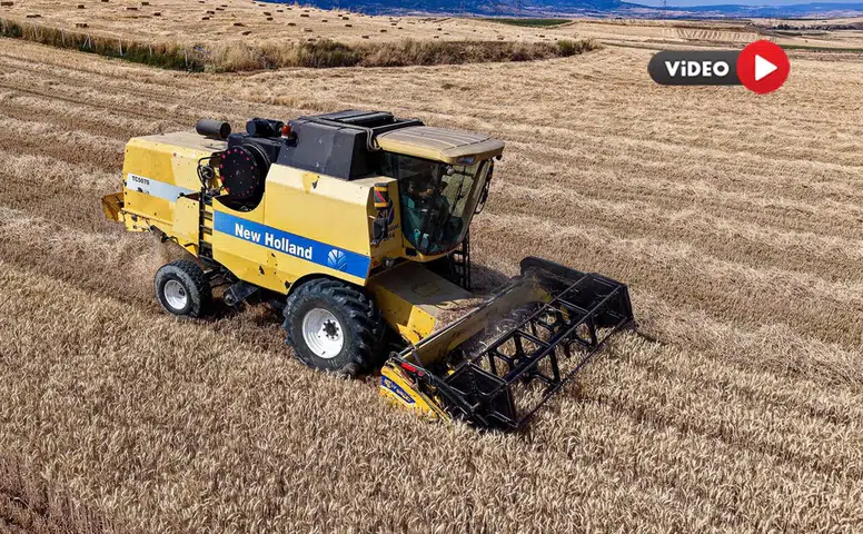 Yerli ve Milli Buğday ‘Kirve’nin İlk Hasadı Yapıldı