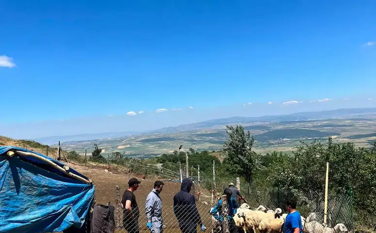Aşılama ve Küpeleme Mesaisi Sürüyor