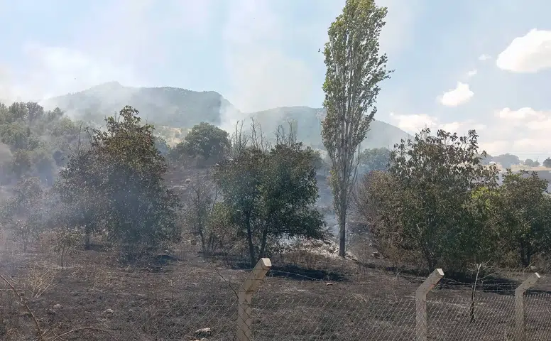 Oğuzlar’da Yangınları Artık Yapay Zeka Tespit Ediyor