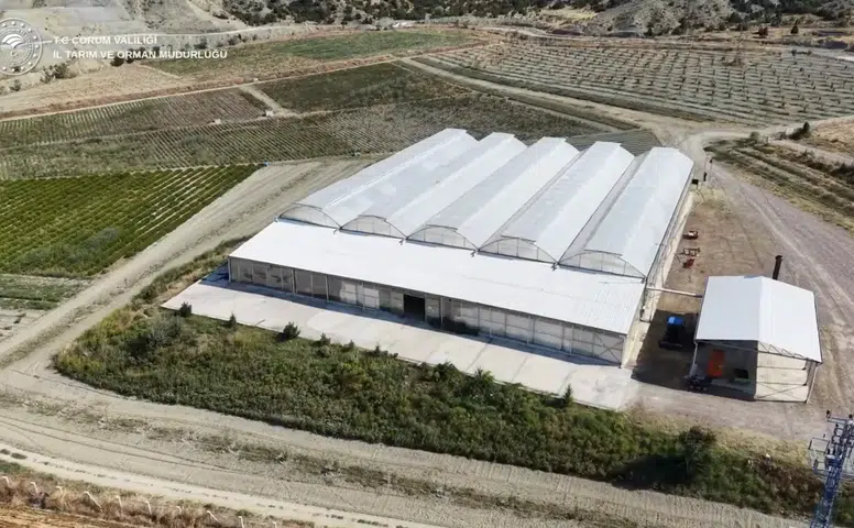 ‘Tıbbi Aromatik Bitkide Hedef Kapasite Artışı’