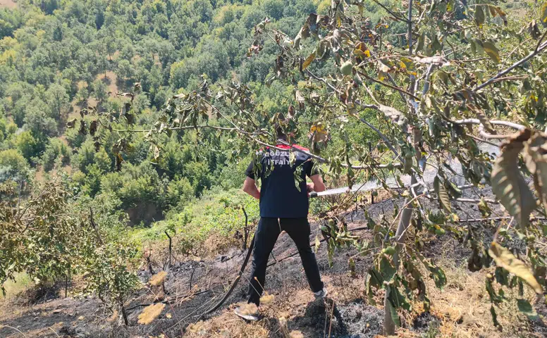 Ceviz Bahçesinde Yangın Çıktı