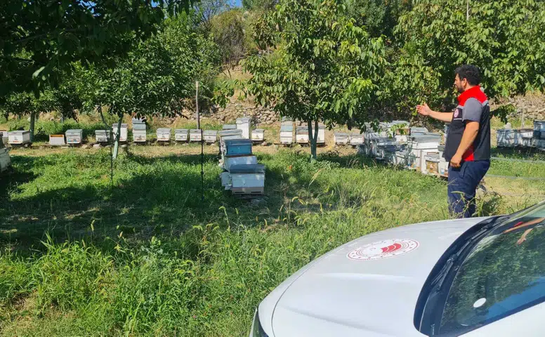 Arıcıların Beyan Ettiği Kovanlar Yerinde Tek Tek İnceleniyor