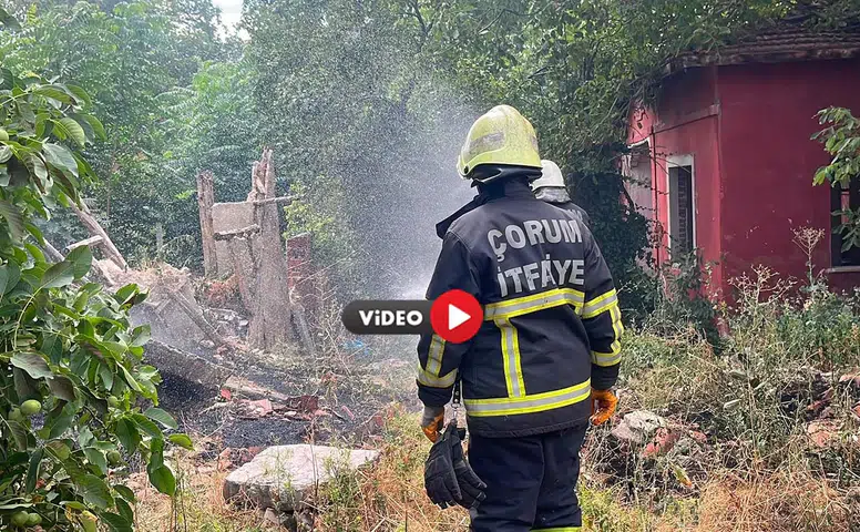 Otlukta Çıktı,Evlere Sıçramdan Söndürüldü