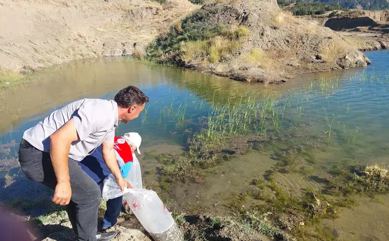 Gölet ve Barajlar Yavru Balıklarla Buluşturuluyor