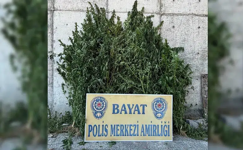 Çorum Polisinden Zehir Tacirlerine Geçit Yok