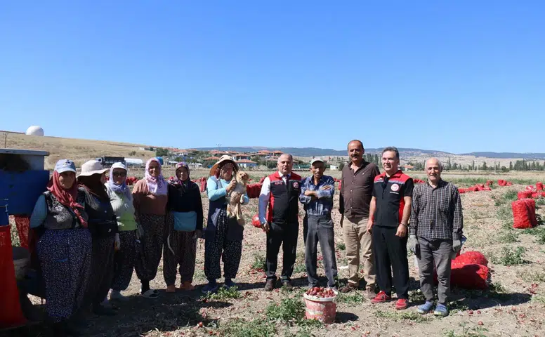 Karapürçek’te Soğan Üretimi Tarlada İncelendi
