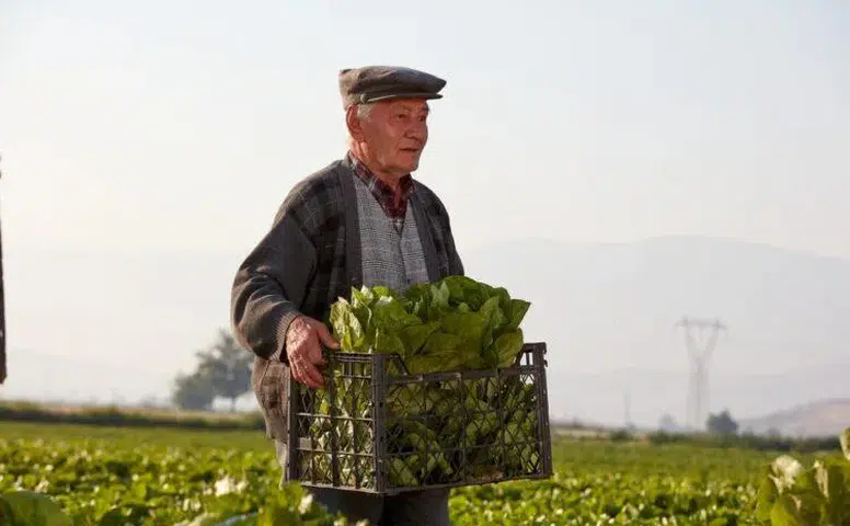 Çiftçileri İlgilendiren Gelişme!