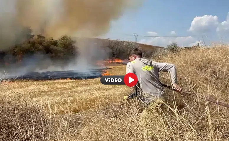 Ağaçlık Alanda Yangın Paniği