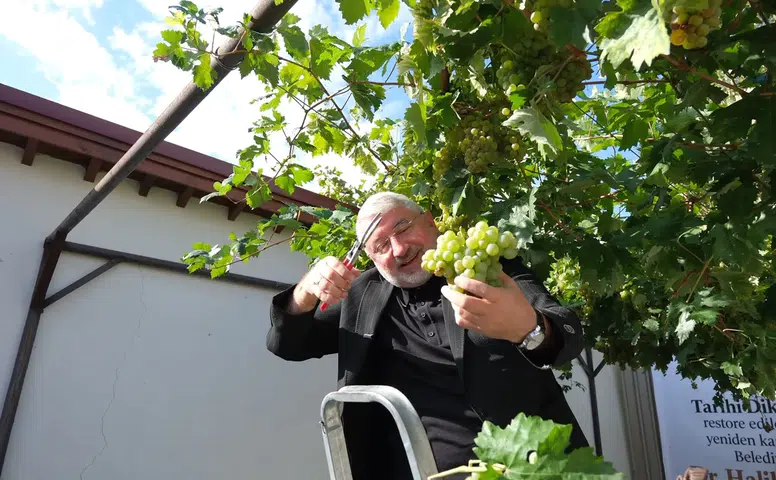 Dünyanın En Dar Arastasında Hasat Vakti