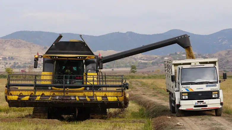 Modern Kurutma Pirinçte Lezzet ve Verim Kalitesini Artırıyor