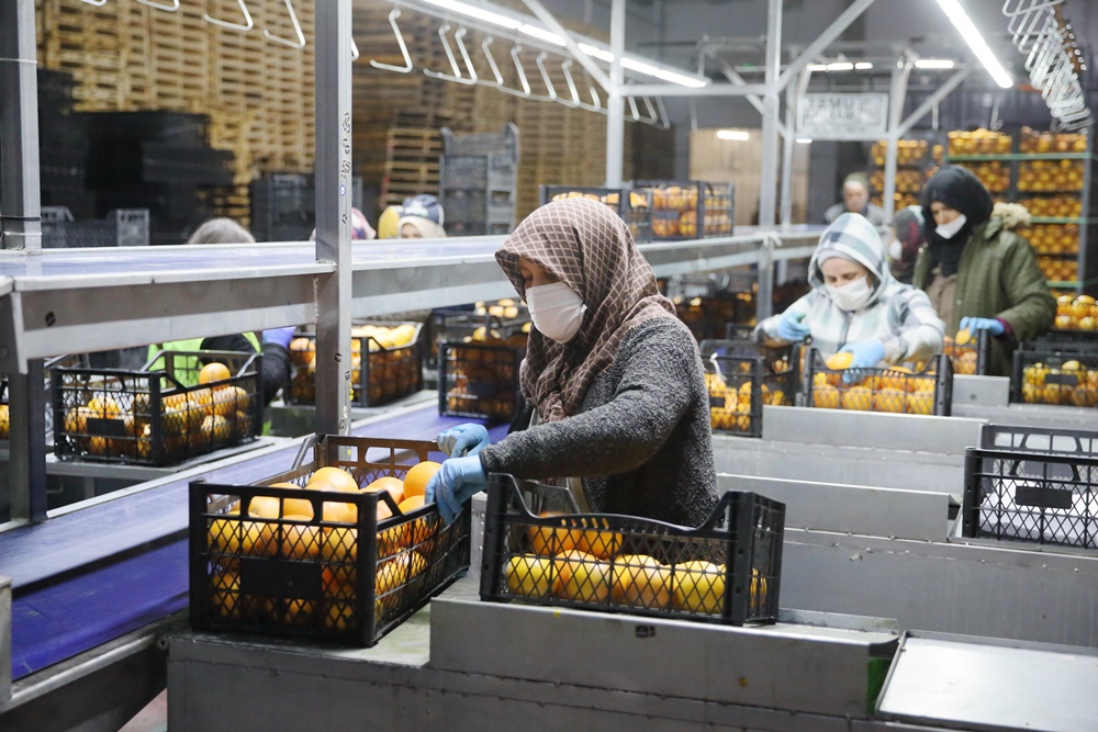Tkdk Desteğiyle Kurdu, 25 Ülkeye Ihracat Yapıyor (8)