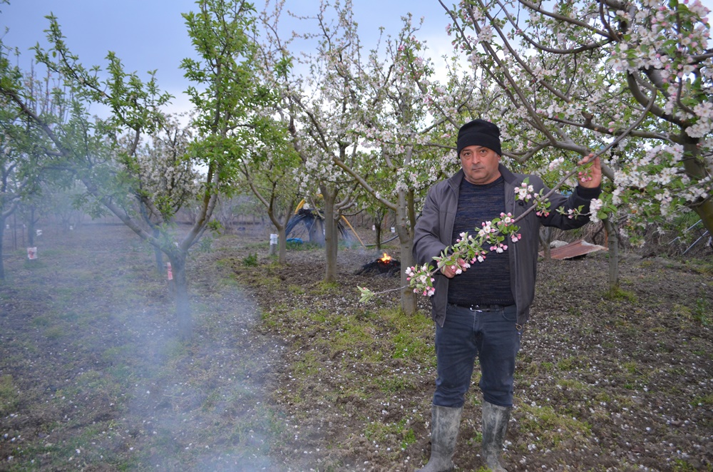 Çiftçiler Dona Karşı Çözümü Böyle Buldu (3)