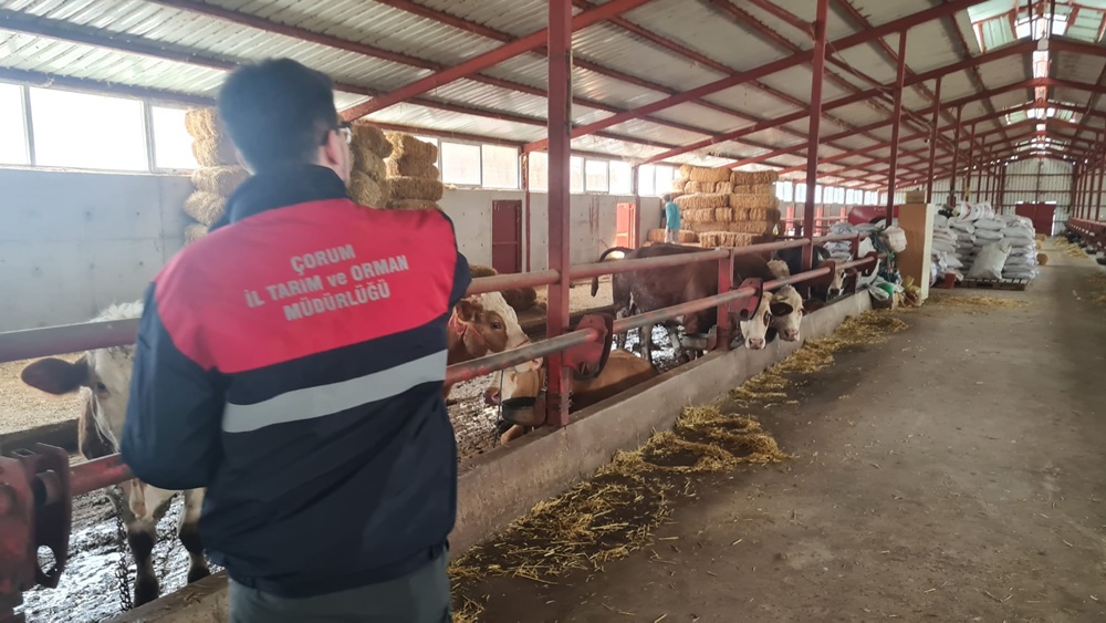 Bayram Öncesi Hayvancılık Işletmelerine Sıkı Denetim (5)