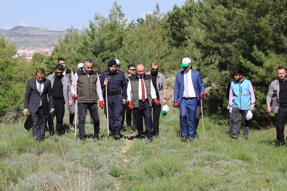 Orman Bizimdir, Doğa Bizimdir’ (2)