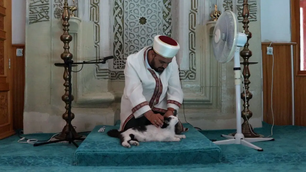 Kedi, Yavruları İle Camiye Sığındı 3