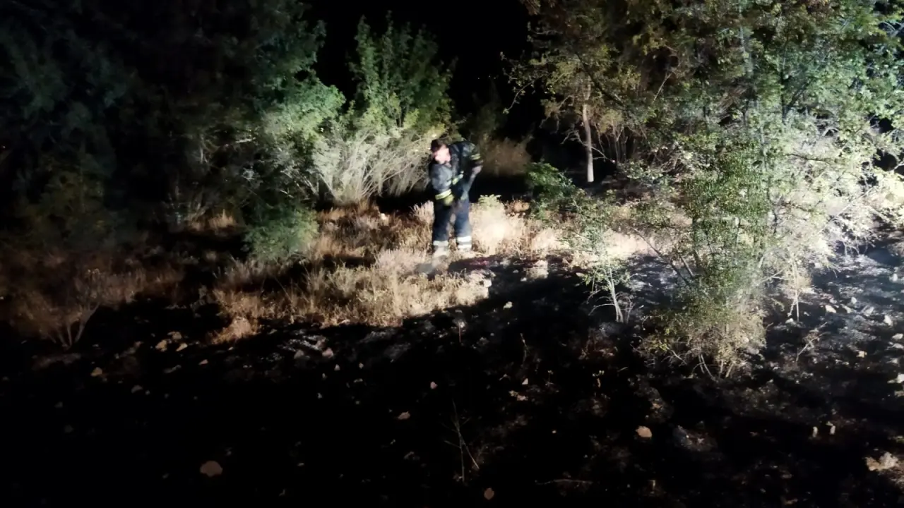 Örtü Yangını Ormana Sıçramadan Söndürüldü 1