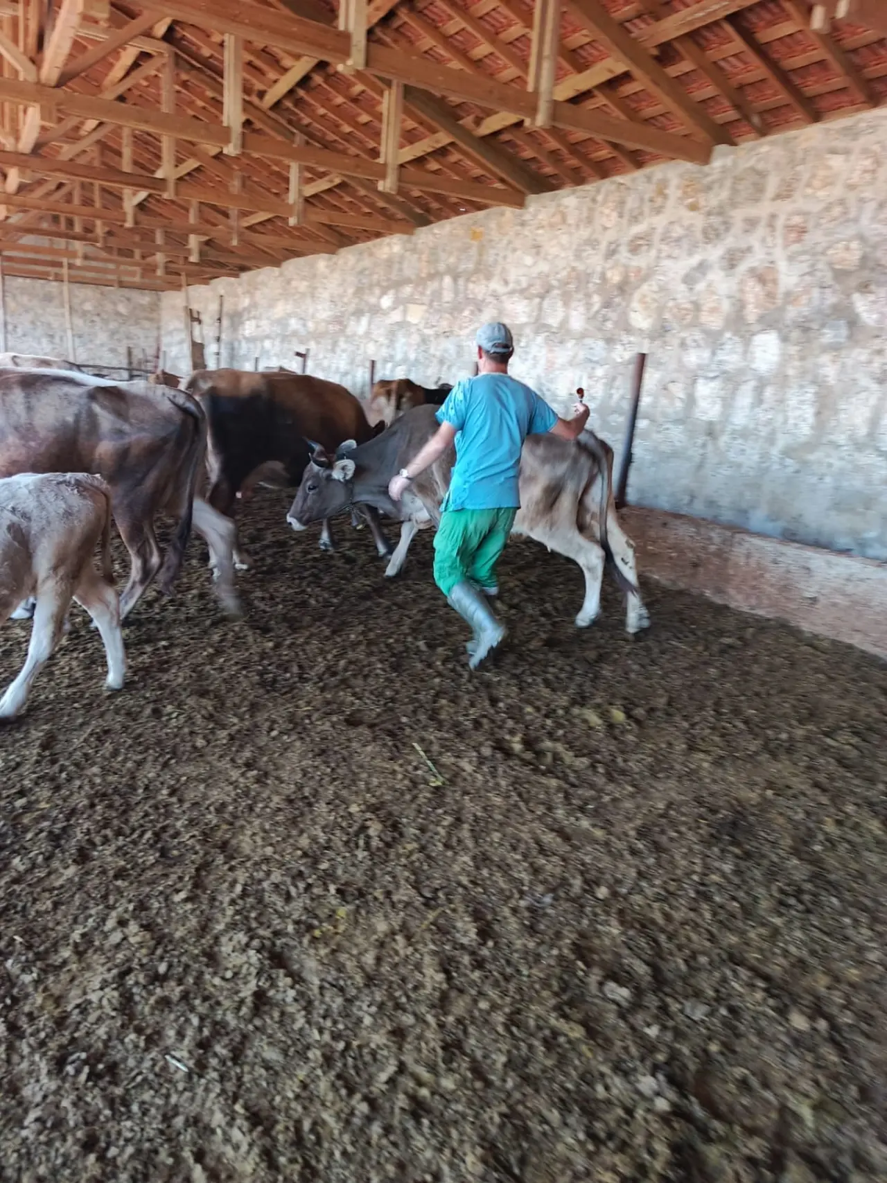 Şapa Karşı Aşılama Seferberliği 2